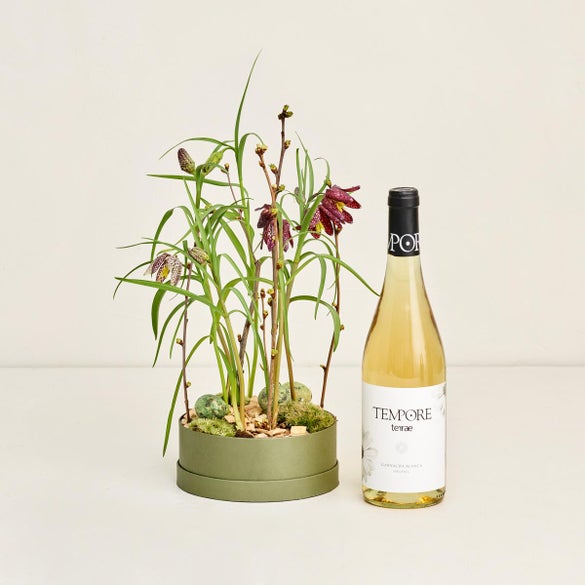 Hatteæske med vibeæg med Terrae Blanco